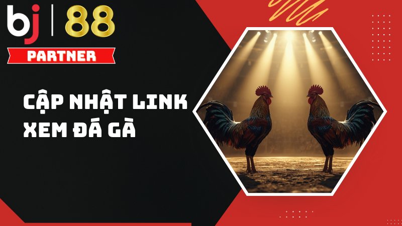 Link xem đá gà hôm nay mới nhất – Trực tiếp HD tại BJ88 2 Link xem đá gà hôm nay mới nhất – Trực tiếp HD tại BJ88