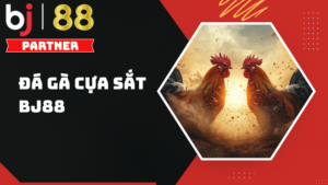 Đá gà cựa sắt BJ88 – Trải nghiệm cược đấu kịch tính và chuyên nghiệp