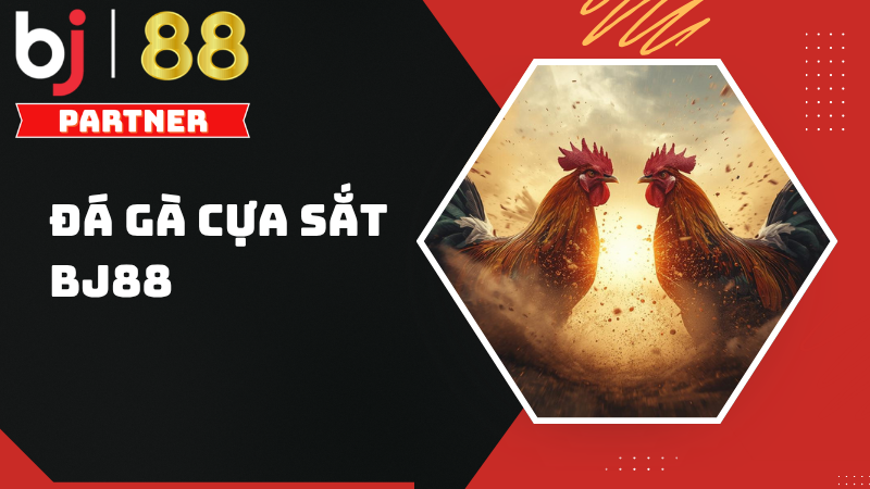Đá gà cựa sắt BJ88 – Trải nghiệm cược đấu kịch tính và chuyên nghiệp