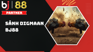 Sảnh Digmaan BJ88 – Sân chơi đá gà uy tín chuyên nghiệp