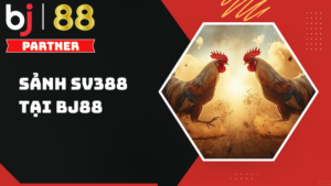 Sảnh SV388 – Tâm điểm đá gà trực tuyến hàng đầu tại BJ88