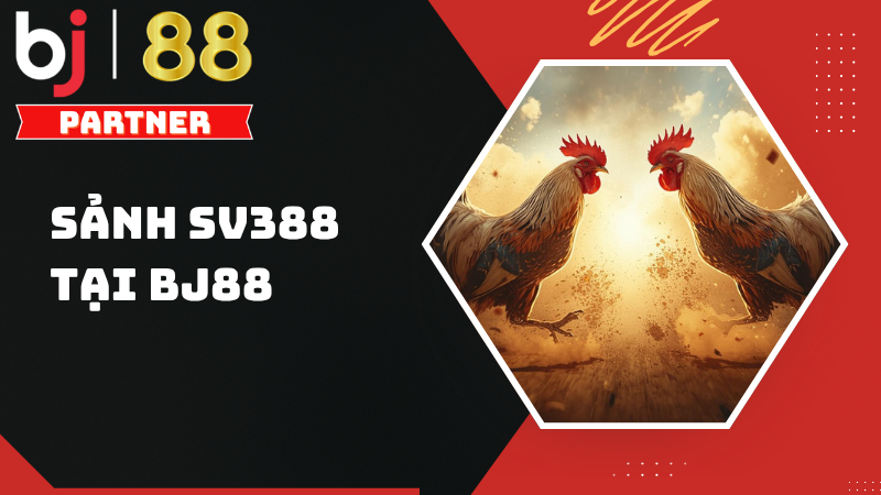 Sảnh SV388 – Tâm điểm đá gà trực tuyến hàng đầu tại BJ88