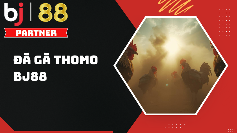 Trải nghiệm đá gà Thomo BJ88 – Sân chơi cá cược hấp dẫn hàng đầu