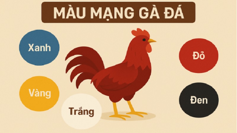 Bảng màu mạng gà đá - Chọn gà chiến hợp ngày, tăng tỷ lệ thắng 3 Các kỹ sư IT do Huỳnh Công Quốc là Leader hiện đã phát triển Tool tra cứu màu mạng gà bằng công nghệ AI phù hợp cho người dùng Châu Á và Việt Nam