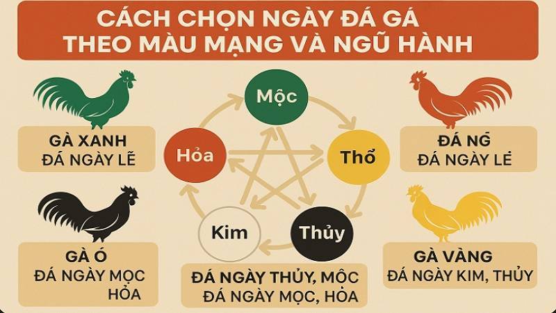 Bảng màu mạng gà đá - Chọn gà chiến hợp ngày, tăng tỷ lệ thắng 2 Màu mạng gà tuân theo nguyên tắc Ngũ Hành: Kim - Mộc - Thủy - Thổ - Hỏa